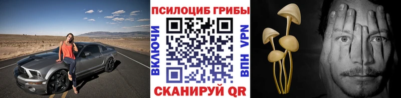 Галлюциногенные грибы ЛСД  закладка  Шумиха 